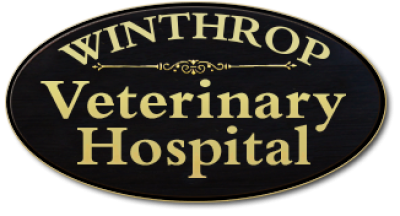 winthrop-vet-hospital