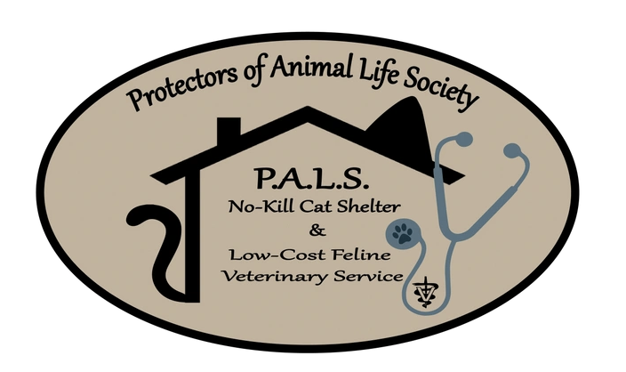 Screen Shot 2025-09-22 at 10.35.10 AM